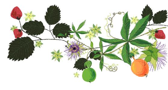 鲿1.97ԪοѵԱϵԱϸɲ