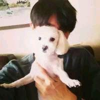 ӡȶس̨ʩϿף ǿ